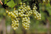 Spanien Weiss